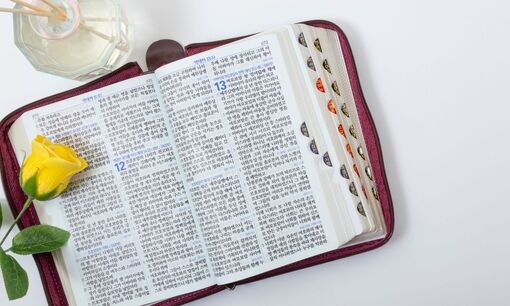 Dịch tiếng Hàn sang tiếng Việt: Hướng dẫn toàn diện cho người mới bắt đầu