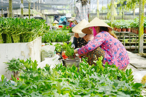 Phát huy tính năng động, đổi mới, sáng tạo