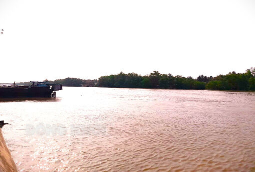 Chưa ghi nhận thông tin cây trồng bị ảnh hưởng do xâm nhập mặn