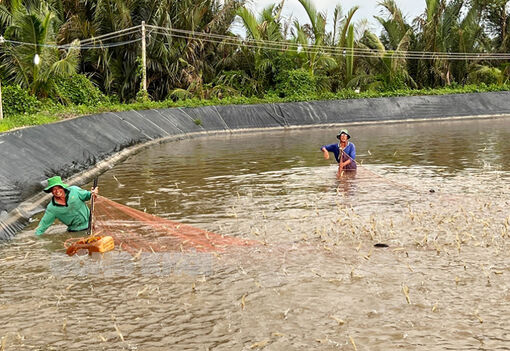 Bình Đại ‘Tăng tốc - bứt phá’ thực hiện Nghị quyết Đại hội XII Đảng bộ huyện