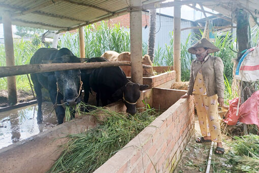 Đa dạng hóa nguồn lực chăm lo cho người nghèo