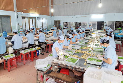 Kết quả thực hiện nghị quyết về khuyến khích, hỗ trợ phát triển doanh nghiệp