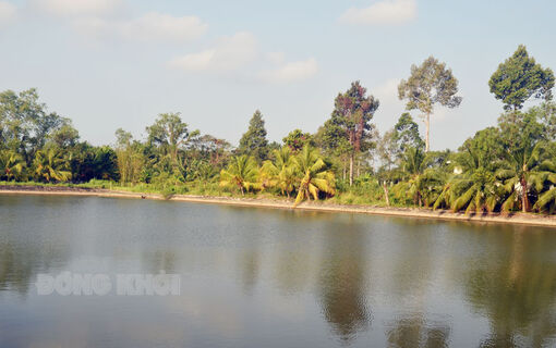 Độ mặn nước sạch sau xử lý ở các nhà máy nước đều nằm trong giới hạn cho phép