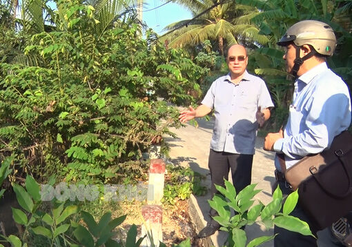 Bí thư Thành ủy Nguyễn Văn Tuấn khảo sát thực tế môi trường khi đóng cống ngăn mặn