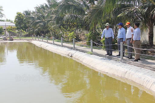 Giám sát công tác quản lý nhà nước về chất lượng nước sinh hoạt của các cơ sở cung cấp nước trên địa bàn huyện Bình Đại