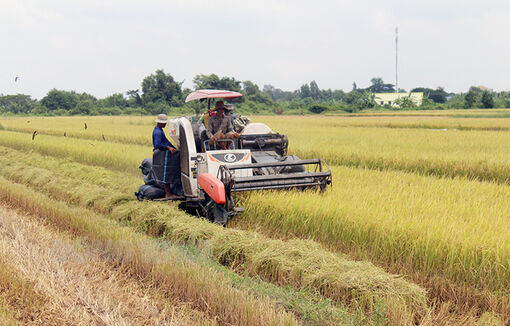 Kinh tế huyện Ba Tri tăng trưởng toàn diện trong quý I-2024