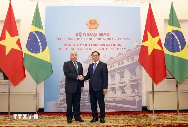 Củng cố, thúc đẩy quan hệ Đối tác Toàn diện Việt Nam-Brazil