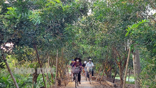 144 ngàn lượt du khách đến tham quan, vui chơi tại 3 huyện biển của tỉnh trong quý I-2024