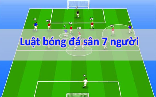 Bóng đá sân mini những điều luật chơi cần nắm rõ