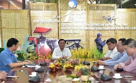 Đến tháng 8, Việt Nam sẽ có sản phẩm 'lúa giảm phát thải' đầu tiên