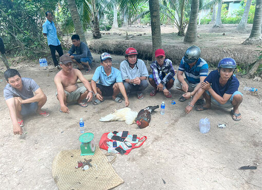 Bắt quả tang nhóm đối tượng đá gà ăn tiền