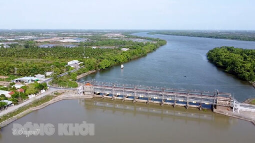 Sẽ đấu thầu khai thác 6 mỏ cát trên sông Ba Lai trong tháng 6-2024