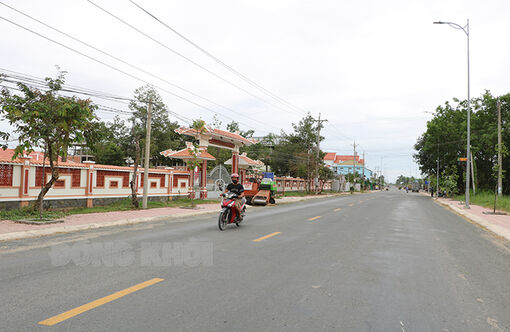 Tỷ lệ đô thị hóa khu vực 3 huyện biển đạt khoảng 23,2%