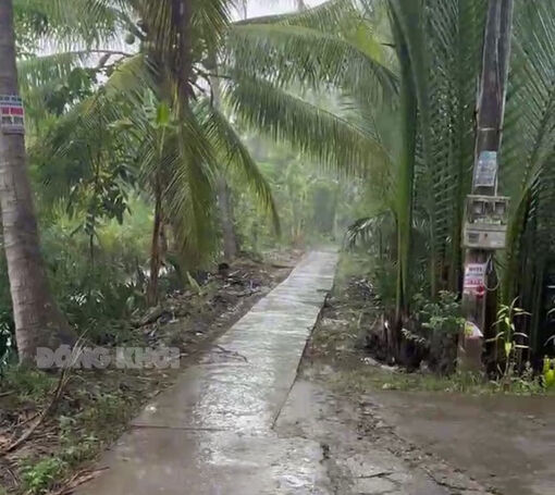 Cảnh báo mưa giông, lốc, sét tỉnh Bến Tre