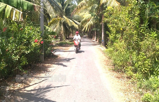 Ấp Giồng Bông, xã Thới Lai: Chung sức xây dựng xã nông thôn mới nâng cao