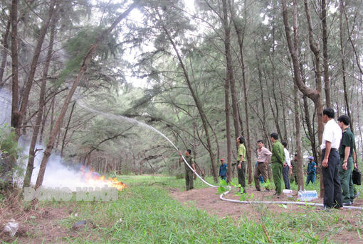 Ổn định và phát triển thêm diện tích rừng