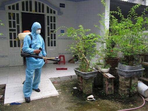 Dịch vụ diệt mối giá rẻ chất lượng tại Phú Yên của Diệt Mối 24H
