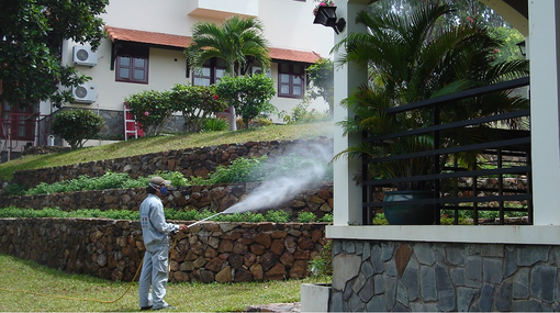 Diệt Mối 24H: Dịch vụ phòng chống mối cho công trình đạt chuẩn ISO tại Long An