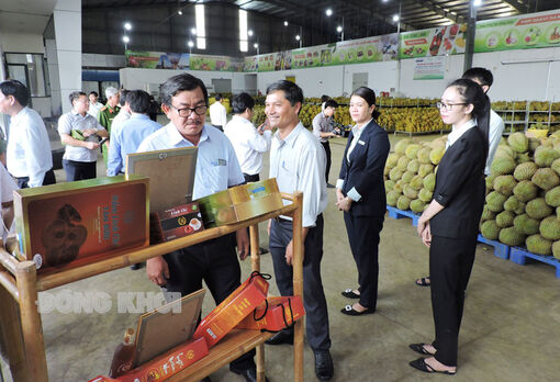 Chợ Lách quyết tâm về đích huyện nông thôn mới nâng cao