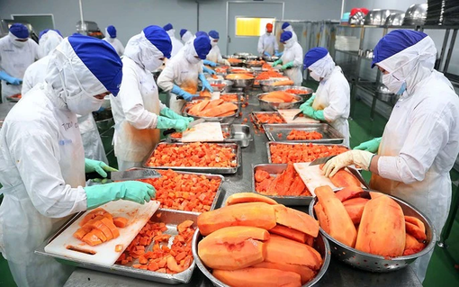 Nên mở xưởng sản xuất gì ở nông thôn? Gợi ý 9 mô hình