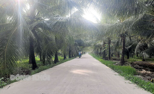 Xã Tân Phong đủ điều kiện đề nghị tỉnh xét, công nhận xã đạt chuẩn nông thôn mới nâng cao