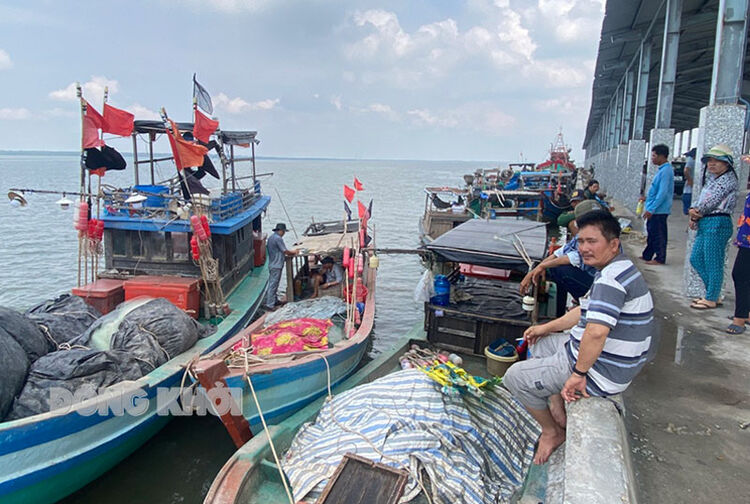 Nhiều hộ dân đánh bắt thủy sản gần bờ vùng ven biển tỉnh không được ra khơi