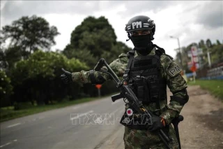 Chính phủ Colombia bắt đầu đàm phán với nhóm vũ trang Segunda Marquetalia