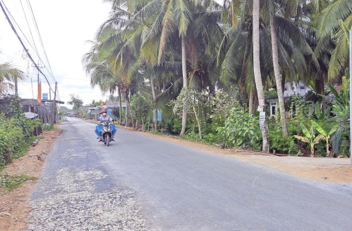 Giám sát việc thực hiện tiêu chí về quy hoạch trong xây dựng nông thôn mới