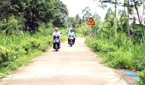 Ấp Phú Tường, xã Phú Đức nỗ lực xây dựng chi bộ trong sạch, vững mạnh toàn diện