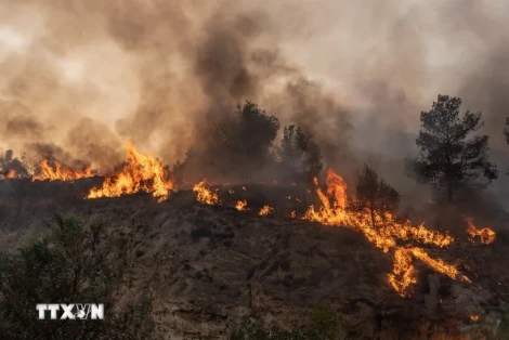 Cháy rừng thiêu rụi 22ha, Nga ban bố tình trạng khẩn cấp ở Novorossiisk