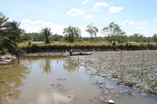 Thông qua đồ án Quy hoạch phân khu xây dựng tỷ lệ 1/2000 Khu du lịch cồn Cái Gà, huyện Chợ Lách