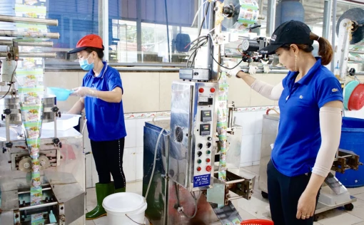 Các giải pháp trọng tâm trong thời gian tới