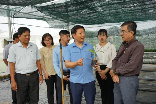 Ban Chỉ đạo 428 khảo sát tình hình vận động nhân dân tham gia các dự án trọng điểm tại Chợ Lách