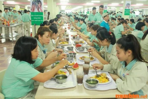 Kinh nghiệm của người lao động Đồng Khởi khi lên TP. Hồ Chí Minh tìm việc làm bao ăn ở