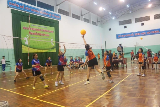Phát triển đa dạng các câu lạc bộ thể thao cơ sở
