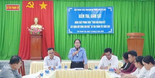 Kiểm tra, giám sát phong trào Toàn dân đoàn kết xây dựng đời sống văn hóa tại xã Tân Thanh Tây