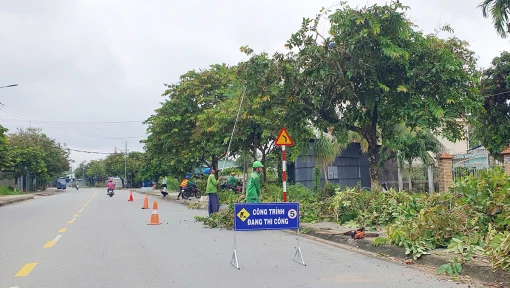 Chủ động cắt tỉa cây xanh phòng ngừa tai nạn trong mùa mưa bão