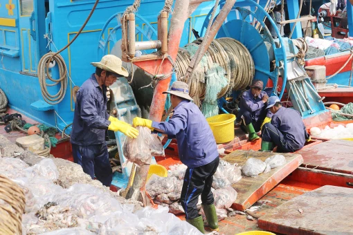 Quy định về lắp đặt thiết bị giám sát hành trình tàu cá