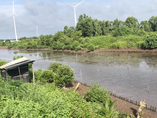 Nông dân Thới Thuận phát huy hiệu quả vốn vay tạo sinh kế