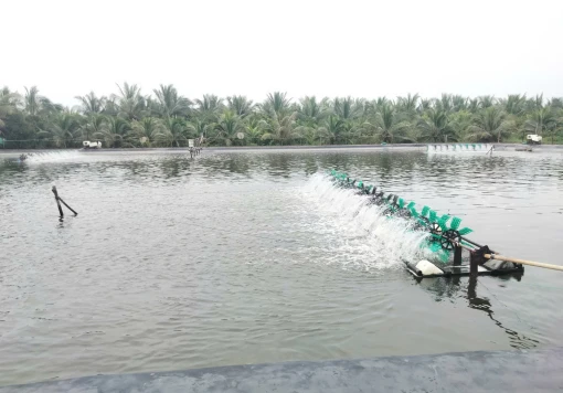 9 tháng năm 2024, Bình Đại thực hiện đạt vượt nhiều chỉ tiêu phát triển kinh tế - xã hội