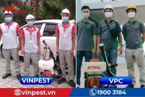 So sánh điểm mạnh - điểm yếu về dịch vụ diệt mối của VinPest và VPC
