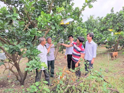 Tân Phong “về đích” xã nông thôn mới nâng cao