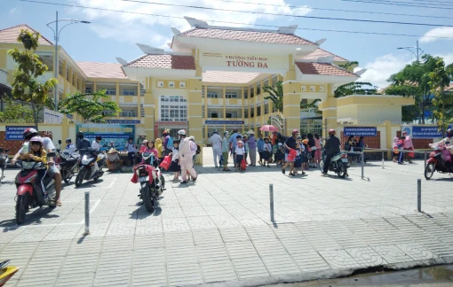 Tường Ða đổi mới phát triển