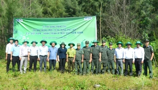 Phát động trồng cây của dự án trồng mới 15ha rừng phi lao