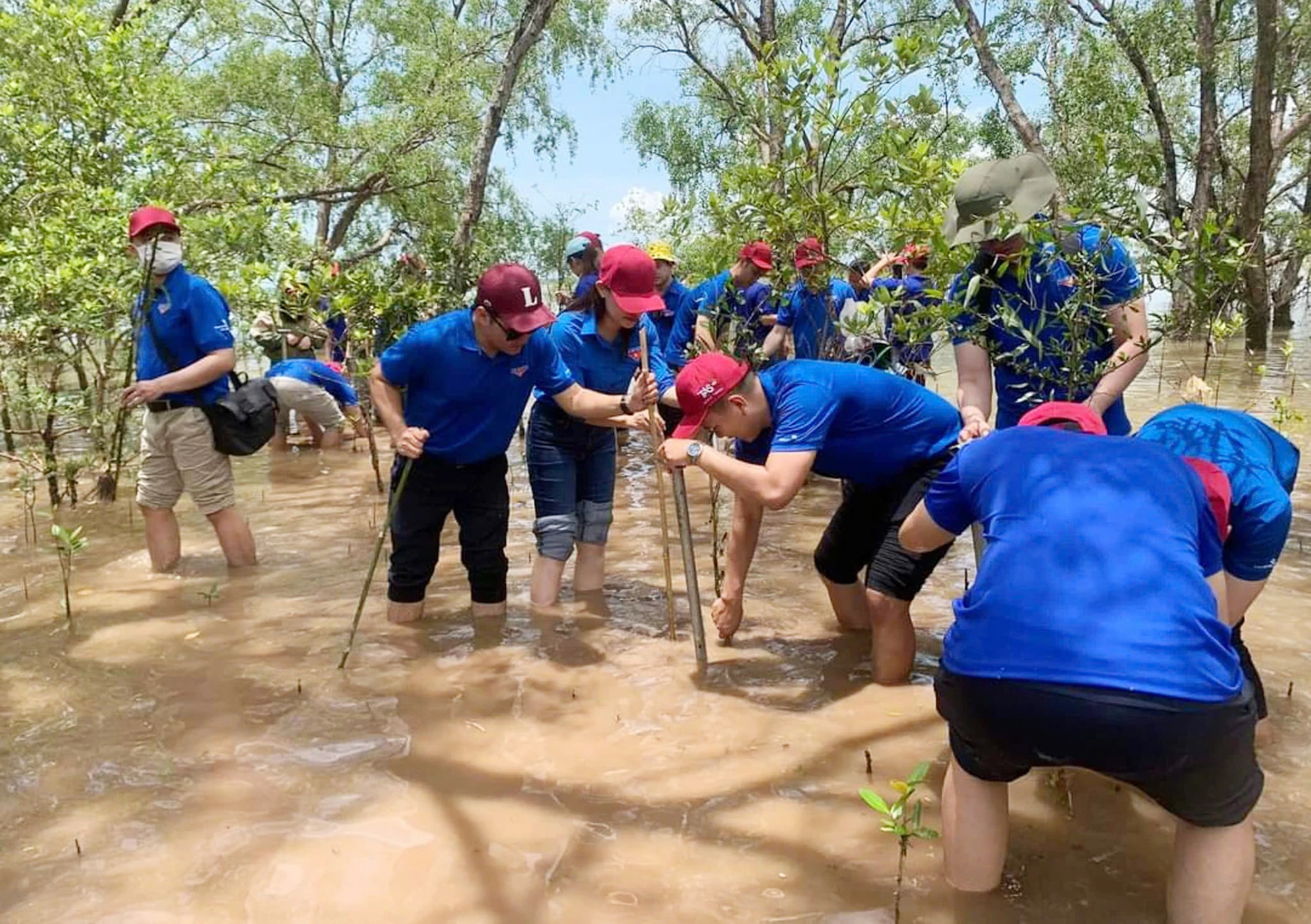 Đoàn viên, hội viên tham gia trồng cây tại mô hình Rừng phòng hộ do thanh niên quản lý tại Cồn Đất, xã An Hiệp, huyện Ba Tri.