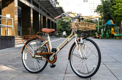 Mua xe đạp Asama ở Hà Nội giá tốt tại Siêu Thị Xe Đạp