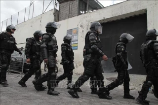 Ecuador chìm trong bất ổn do các băng nhóm tội phạm hoành hành