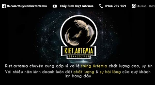 Thủy Sinh Kiệt Artemia: Địa Chỉ Mua Artemia Mỹ Hàng Đầu