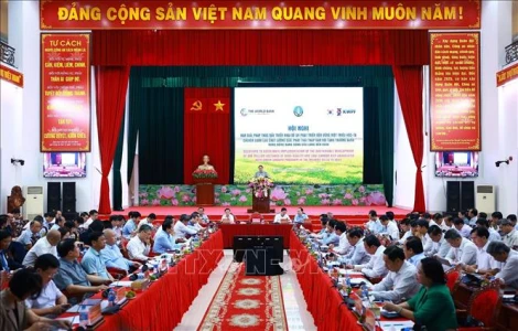 Thủ tướng Phạm Minh Chính: Nông dân là chủ thể 'Cuộc cách mạng lúa gạo'