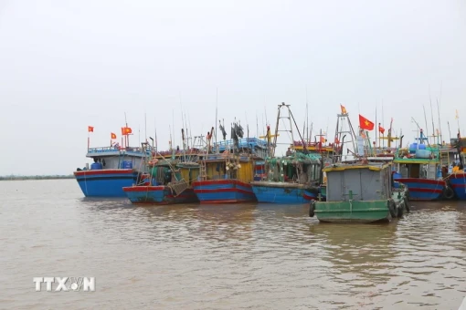 Ứng phó với áp thấp nhiệt đới có khả năng thành bão đi vào Biển Đông